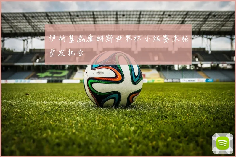 伊纳基威廉姆斯世界杯小组赛末轮首发机会