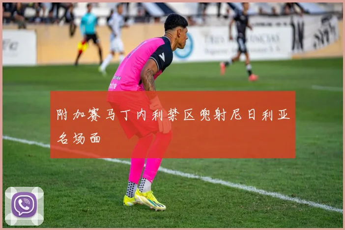 附加赛马丁内利禁区兜射尼日利亚名场面