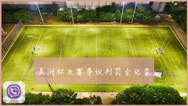美洲杯决赛争议判罚全记录