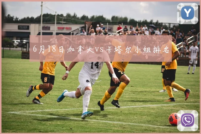 6月18日加拿大vs卡塔尔小组排名
