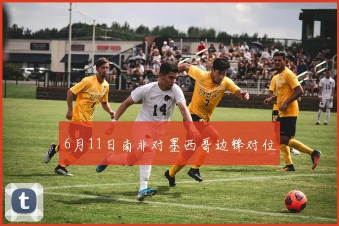 6月11日南非对墨西哥边锋对位