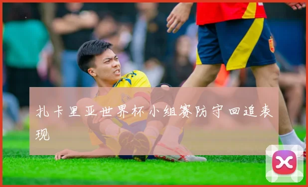 扎卡里亚世界杯小组赛防守回追表现