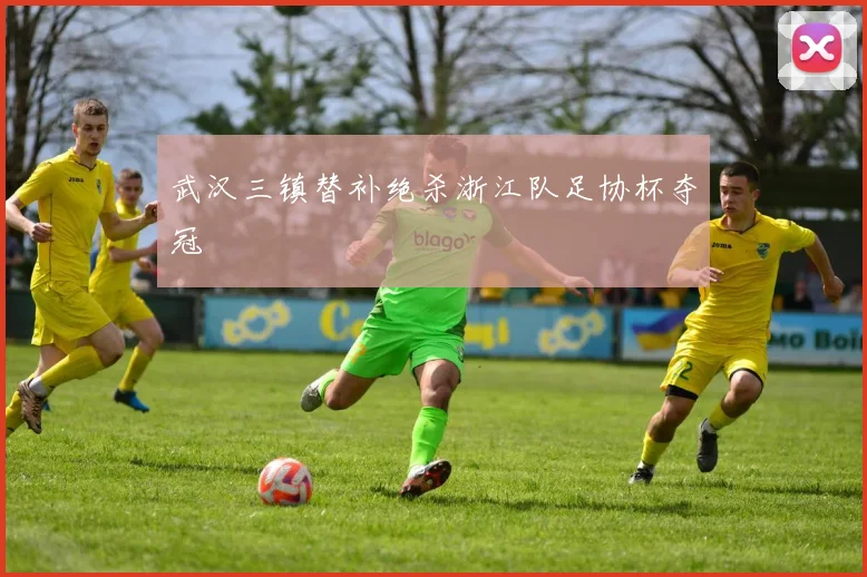 武汉三镇替补绝杀浙江队足协杯夺冠