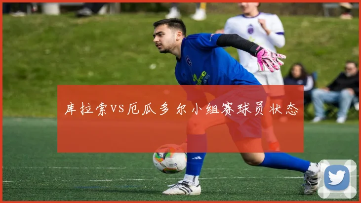 库拉索vs厄瓜多尔小组赛球员状态