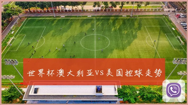 世界杯澳大利亚vs美国控球走势