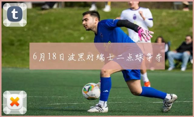 6月18日波黑对瑞士二点球争夺