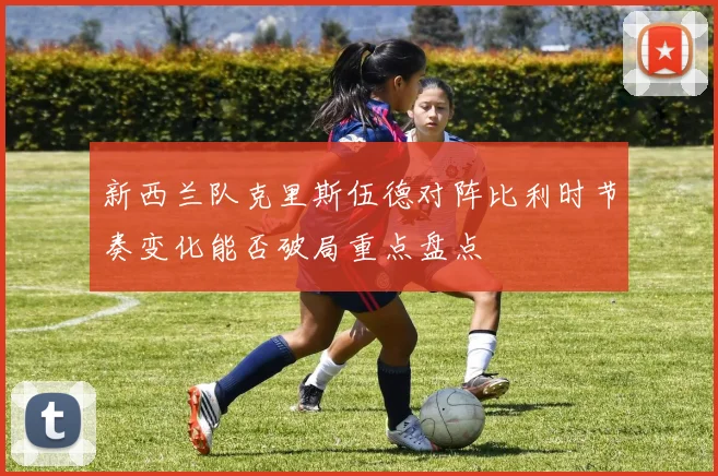 新西兰队克里斯伍德对阵比利时节奏变化能否破局重点盘点