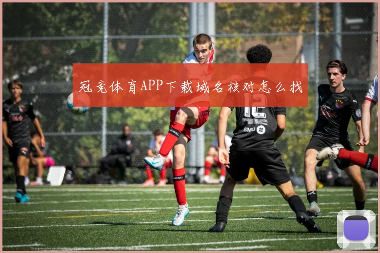 冠竞体育APP下载域名核对怎么找